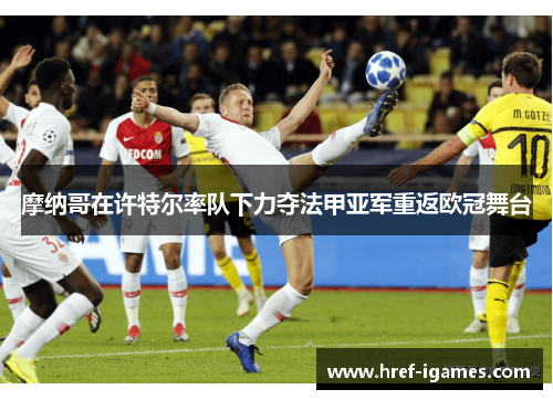 摩纳哥在许特尔率队下力夺法甲亚军重返欧冠舞台 摩纳哥在许特尔率队下力夺法甲亚军重返欧冠舞台