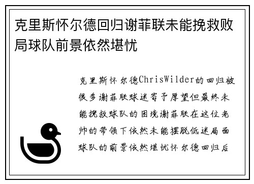 克里斯怀尔德回归谢菲联未能挽救败局球队前景依然堪忧